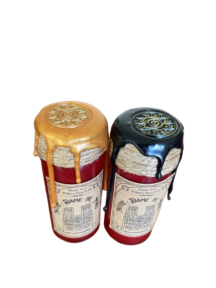 Notre-Dame de Paris : Philtre instable